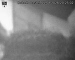 Capi_Dubne_20260821_202502.jpg