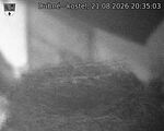 Capi_Dubne_20260821_203503.jpg