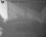 Capi_Dubne_20260821_205502.jpg