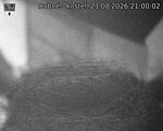 Capi_Dubne_20260821_210002.jpg