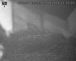 Capi_Dubne_20260821_211003.jpg