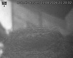 Capi_Dubne_20260821_212002.jpg