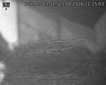 Capi_Dubne_20260821_212503.jpg