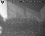 Capi_Dubne_20260821_213002.jpg