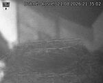 Capi_Dubne_20260821_213502.jpg