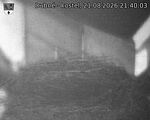 Capi_Dubne_20260821_214003.jpg