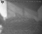 Capi_Dubne_20260821_215502.jpg