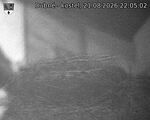 Capi_Dubne_20260821_220502.jpg