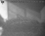 Capi_Dubne_20260821_221003.jpg