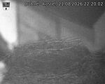 Capi_Dubne_20260821_222002.jpg