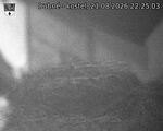 Capi_Dubne_20260821_222503.jpg