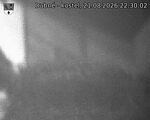 Capi_Dubne_20260821_223002.jpg