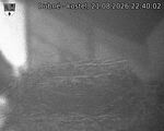 Capi_Dubne_20260821_224002.jpg