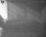 Capi_Dubne_20260821_225002.jpg