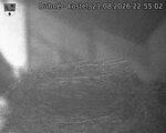 Capi_Dubne_20260821_225502.jpg
