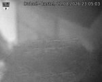 Capi_Dubne_20260821_230503.jpg
