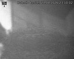 Capi_Dubne_20260821_231002.jpg