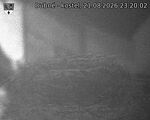 Capi_Dubne_20260821_232002.jpg