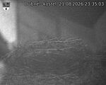 Capi_Dubne_20260821_233503.jpg