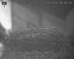 Capi_Dubne_20260822_000002.jpg