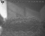 Capi_Dubne_20260822_000502.jpg