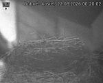 Capi_Dubne_20260822_002002.jpg
