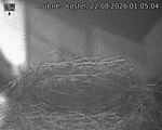 Capi_Dubne_20260822_010504.jpg