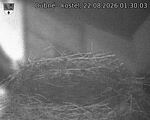 Capi_Dubne_20260822_013003.jpg