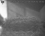 Capi_Dubne_20260822_022002.jpg