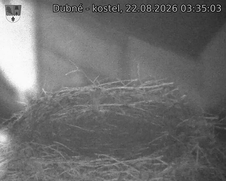 preload