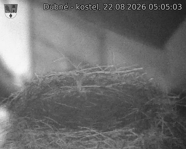 preload