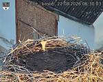 Capi_Dubne_20260822_063003.jpg
