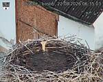 Capi_Dubne_20260822_063503.jpg