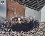 Capi_Dubne_20260822_065003.jpg