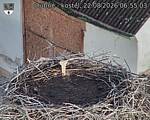Capi_Dubne_20260822_065503.jpg