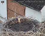Capi_Dubne_20260822_070003.jpg