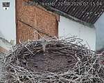 Capi_Dubne_20260822_071504.jpg