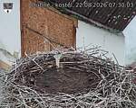 Capi_Dubne_20260822_073003.jpg