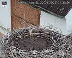 Capi_Dubne_20260822_073504.jpg