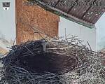 Capi_Dubne_20260822_083503.jpg