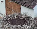 Capi_Dubne_20260822_100503.jpg
