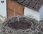 Capi_Dubne_20260822_102003.jpg