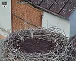 Capi_Dubne_20260822_110003.jpg