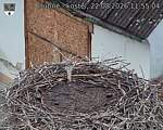 Capi_Dubne_20260822_115504.jpg