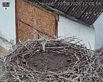 Capi_Dubne_20260822_120004.jpg
