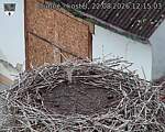 Capi_Dubne_20260822_121503.jpg