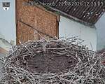 Capi_Dubne_20260822_122003.jpg