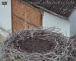 Capi_Dubne_20260822_122504.jpg