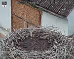 Capi_Dubne_20260822_124003.jpg