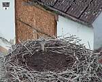Capi_Dubne_20260822_131503.jpg